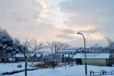 부여 굿뜨래웰빙마을 글램핑장