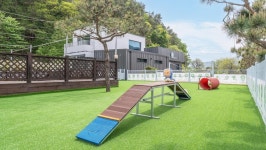 가평 댕댕이 애견 풀빌라 펜션 블루