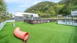 가평 댕댕이 애견 풀빌라 펜션 블루