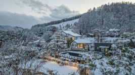 홍천 타샤의정원 애견펜션