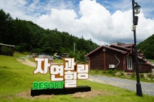 횡성 자연과힐링 풀빌라펜션