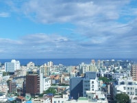 아라팰리스 호텔