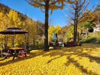 화천 산꾼의집 펜션