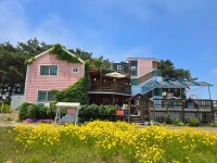 안면도 오렌지바다펜션