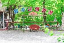 가평 스테이용수
