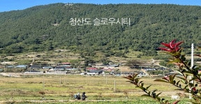전라완도청산도안단테펜션