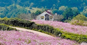 전라완도청산도안단테펜션