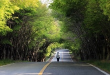 전라완도청산도안단테펜션
