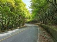 전라완도청산도안단테펜션