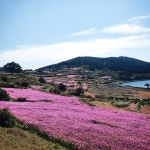 전라완도청산도안단테펜션