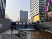 24게스트하우스 동대문마켓점