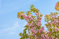 가평 하늘산책펜션