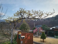 순천 수미연가 한옥독채