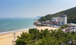 완도 올라코스타 풀빌라