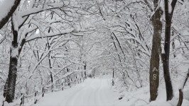 속초 플로팅웨일 설악도적폭포스테이