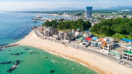 강릉 돌고래스파펜션(오션뷰, 사천진해변바로앞)