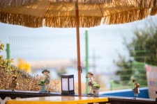 거제해돋이가자애견펜션