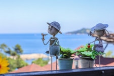 거제해돋이가자애견펜션