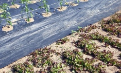 아쿠아피아하우스