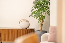 춘천독채 숲속작은집 2