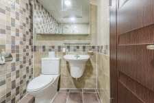 연천 힐링 위드독