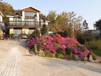 안면도 해마루 관광농원