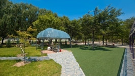 인제 보라빛낭만펜션 & 캠핑장