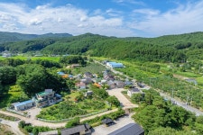 강릉 복사꽃정원