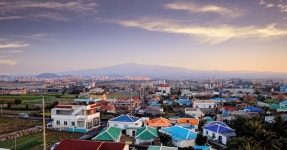 오드리 인 제주