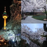 봄고로 게스트하우스 대구