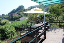 욕지도 솔구지 펜션