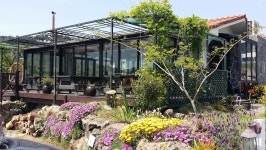 제주 돌담 B&B