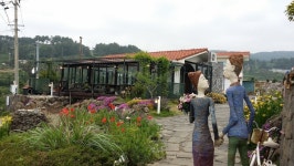 제주 돌담 B&B