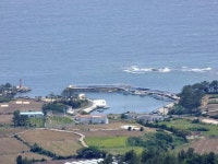 제주 돌담 B&B