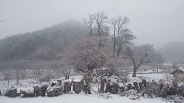 별동산 달빛아래