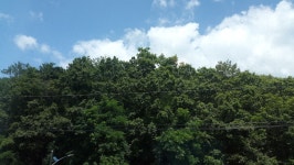 바다가 보이는 사이판 모텔