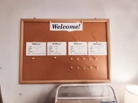 블루 보트 호스텔 명동