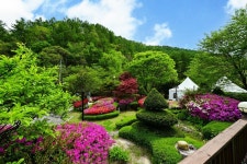 강촌프로방스펜션