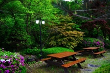 강촌프로방스펜션