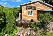 충청보령산야초민박