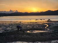 서산 파인씨펜션