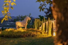 태안 오션더힐리조트펜션