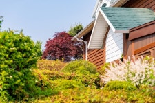 태안 오션더힐리조트펜션