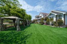 안면도 꿈이룸애견펜션