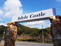 화순 아델캐슬풀빌라