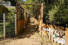 청평 글램독 애견펜션