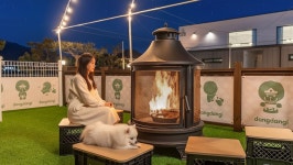 가평 댕댕이 애견 풀빌라 펜션 블루