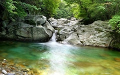 양평 씨에스타펜션