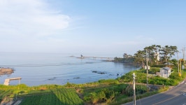 포항 바하리풀빌라