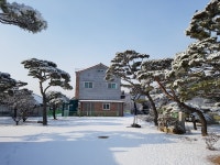 양주 솔이네펜션